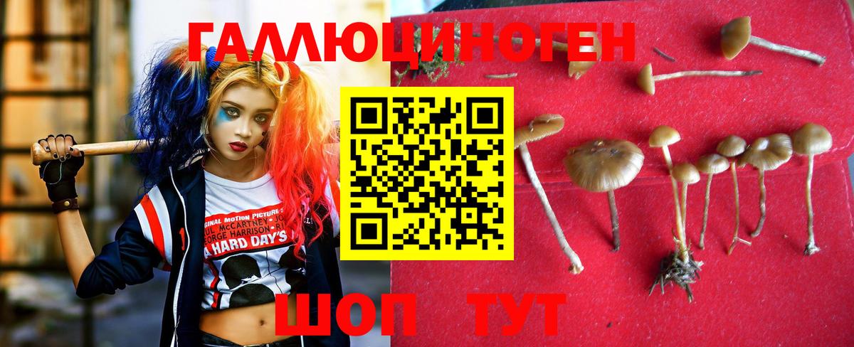 Киров  Псилоцибиновые грибы ЛСД  Галлюциногенные грибы GOLDEN TEACHER  Вход с VPN 